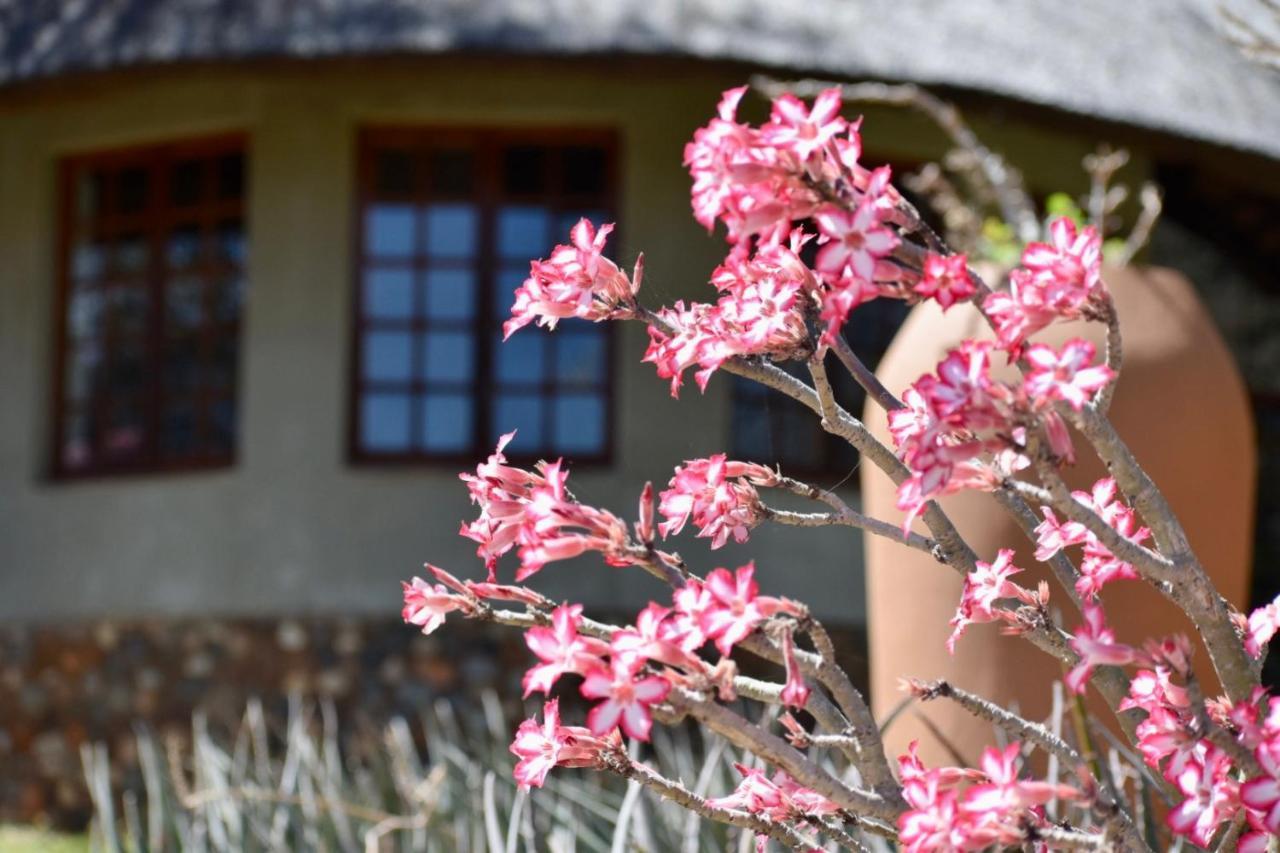 Milima Big 5 Safari Lodge Hoedspruit Exterior foto