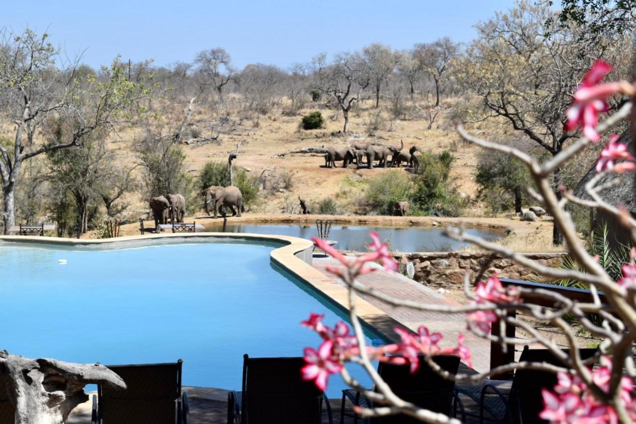Milima Big 5 Safari Lodge Hoedspruit Exterior foto
