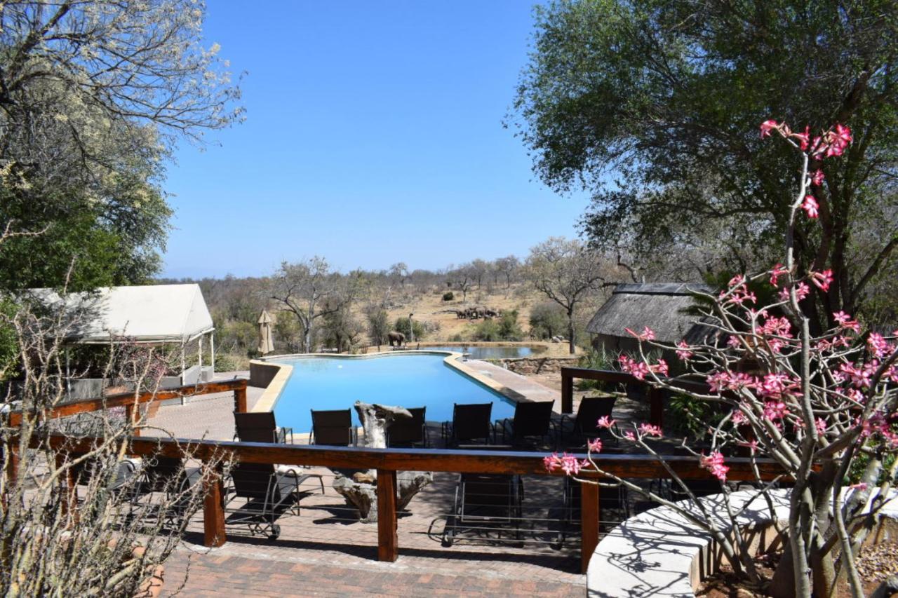 Milima Big 5 Safari Lodge Hoedspruit Exterior foto