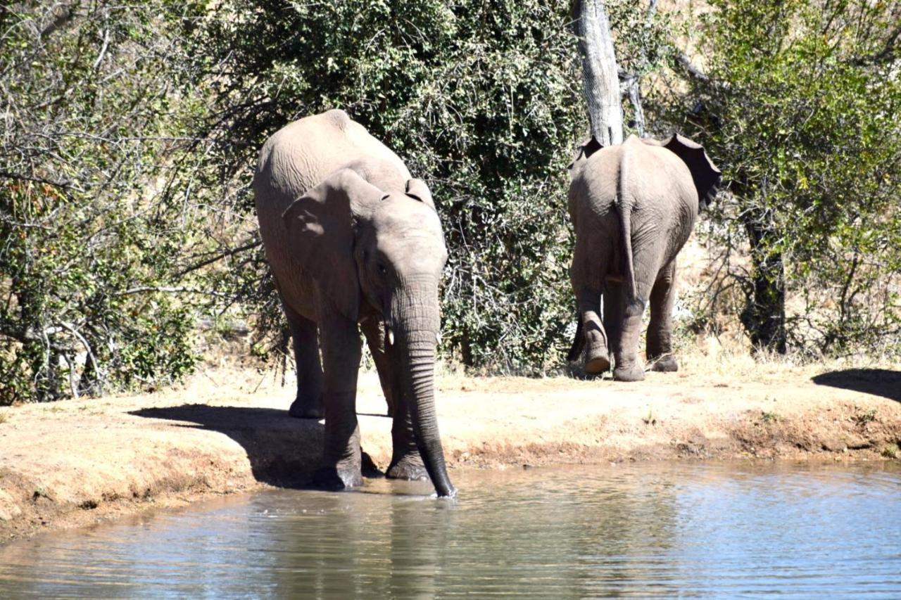 Milima Big 5 Safari Lodge Hoedspruit Exterior foto