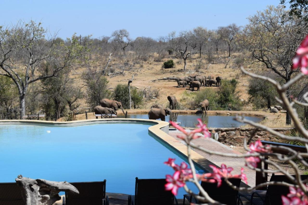 Milima Big 5 Safari Lodge Hoedspruit Exterior foto