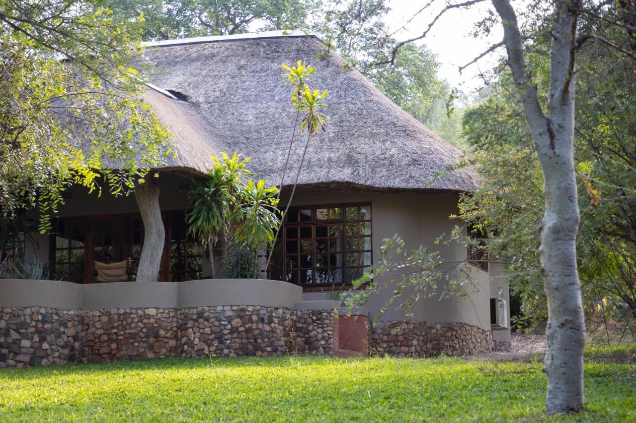 Milima Big 5 Safari Lodge Hoedspruit Exterior foto