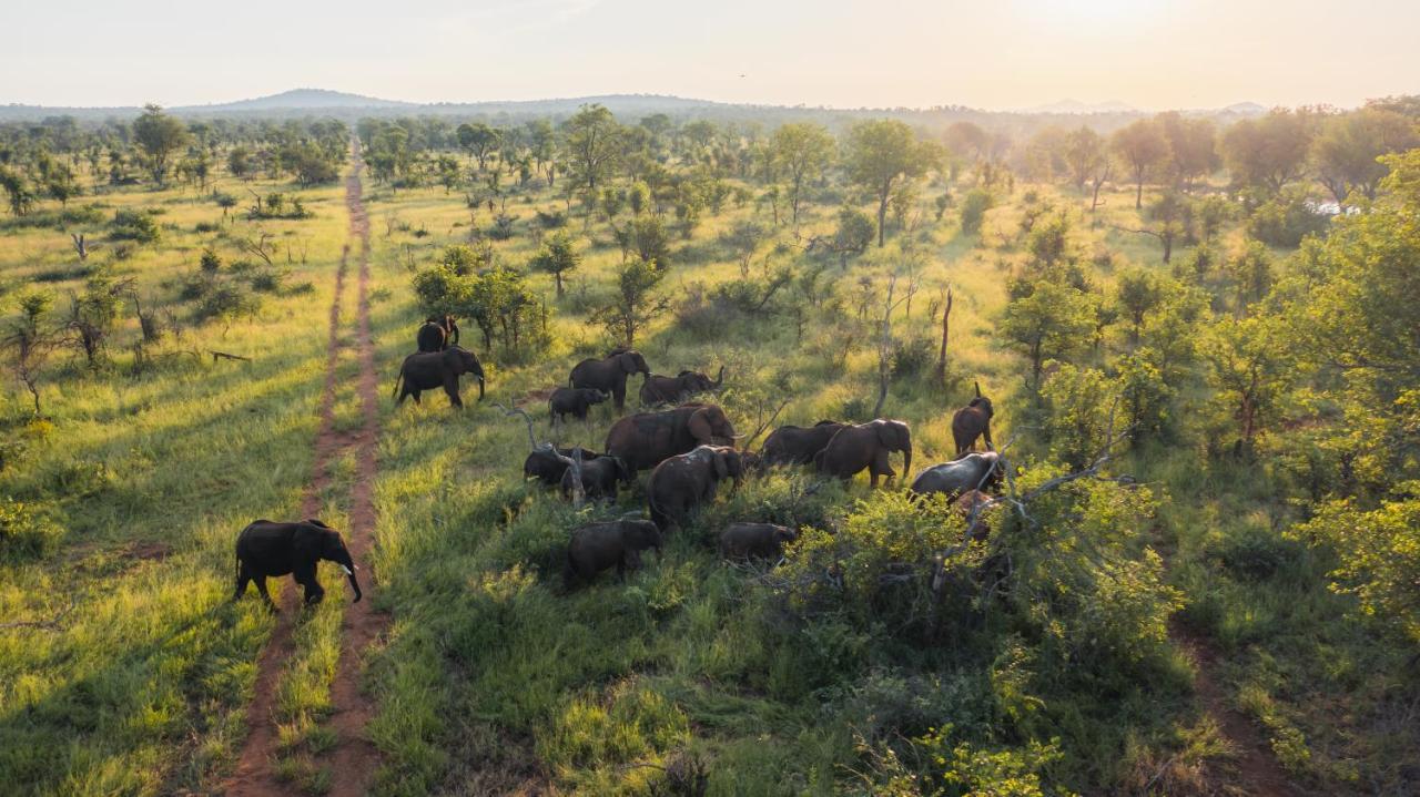 Milima Big 5 Safari Lodge Hoedspruit Exterior foto